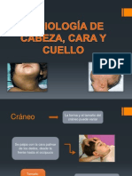 Semiologia de Cabeza, Cara y Cuello.