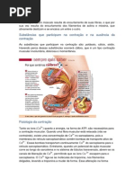 Contração muscular