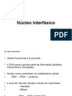 Nucleo Interfasico