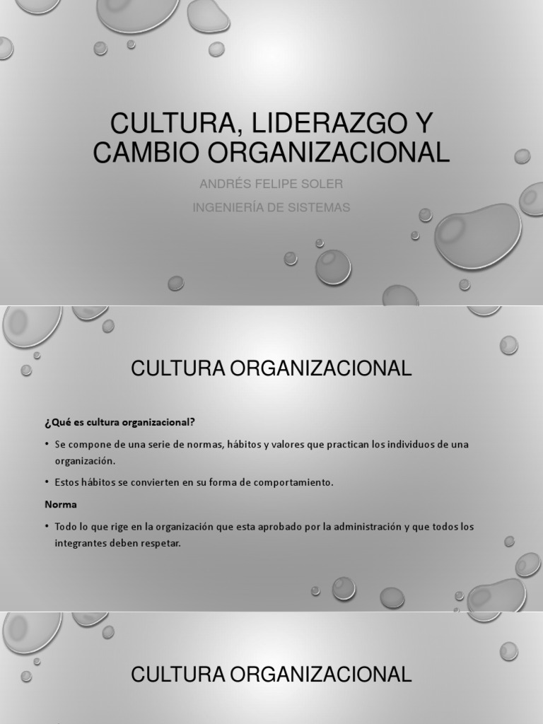 Cultura y Liderazgo en Cambio Organizacional | PDF