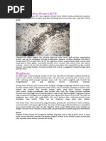 Download Algoritma Koloni Semutdocx by Dian E Pratama SN178853357 doc pdf