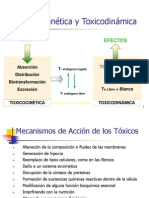 Clase 3 Intro Ducci on 2