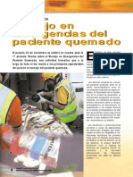 Manejo en Emergencias Del Paciente Quemado PDF