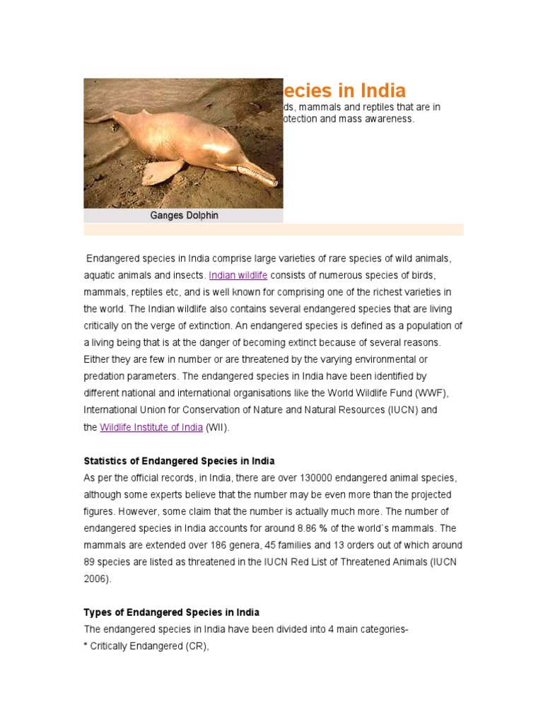 Endangered Species in India | PDF | Endangered Species | Whales