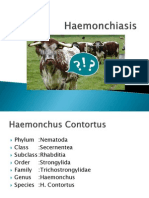Haemonchiasis