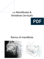 Os Mandibulae & Vertebrae Cervicalis