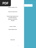 Um Judeu marginal - síntese.doc