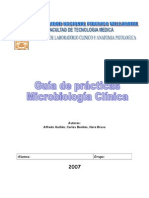 Guia practica clinica 2007.doc