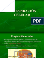 Respiracion Celular 3a
