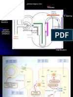 DIURETICS LECTURE Zeb