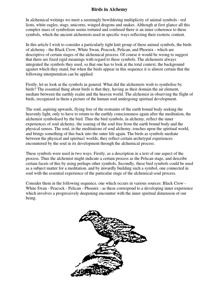 Commissioned Secret Abacus Alchemy Reveal Birds Navigation System - t5p3wak
