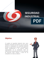 SEGURIDAD INDUSTRIAL Normas, Epp, Visitas de Inspección