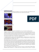 The Evolution of Fractals from 17th Century Mathematics to Modern Computer Graphics