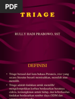 Download TRIAGEppt by Joe Hatake Kenshin SN179059645 doc pdf