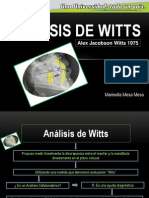 Exposición Análisis de Witts