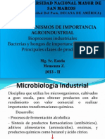 Clase 8va Microorganismos de Importancia Agroindustrial.