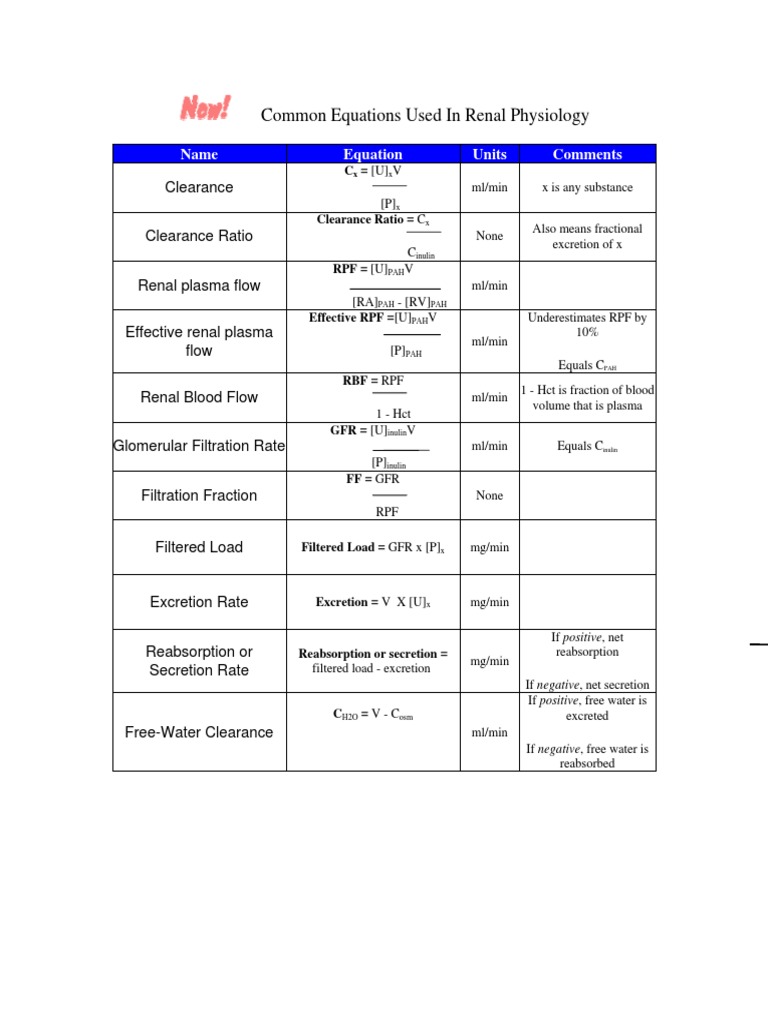Key Renal Physiology Equations | PDF | Renal Function | Kidney