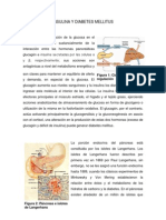 Insulina y Diabetes Mellitus