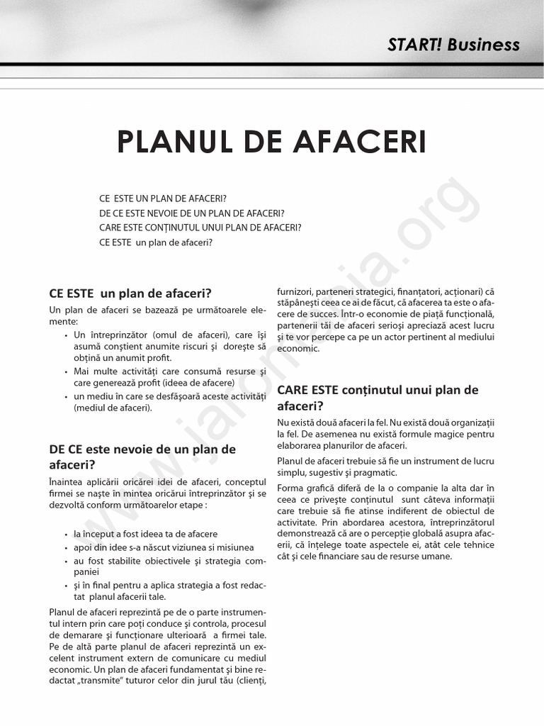 Planul de afaceri model.pdf