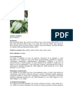 Vademecum de Plantas Medicinales