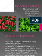 Eubacteria (Bakteri)