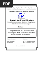 145651407 Modelisation D Un Isolateur Naturellement Pollue - 