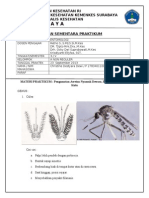 Entomologi Praktek 2 - Christine Destyara.doc