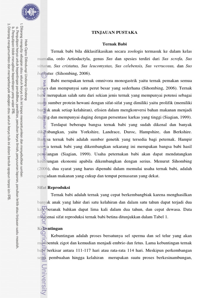 BAB II Tinjauan Pustaka
