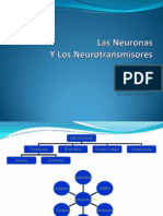 ppt 6 NeuronasyNeurotransmisores
