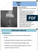 STRUKTUR DAN FUNGSI SEL