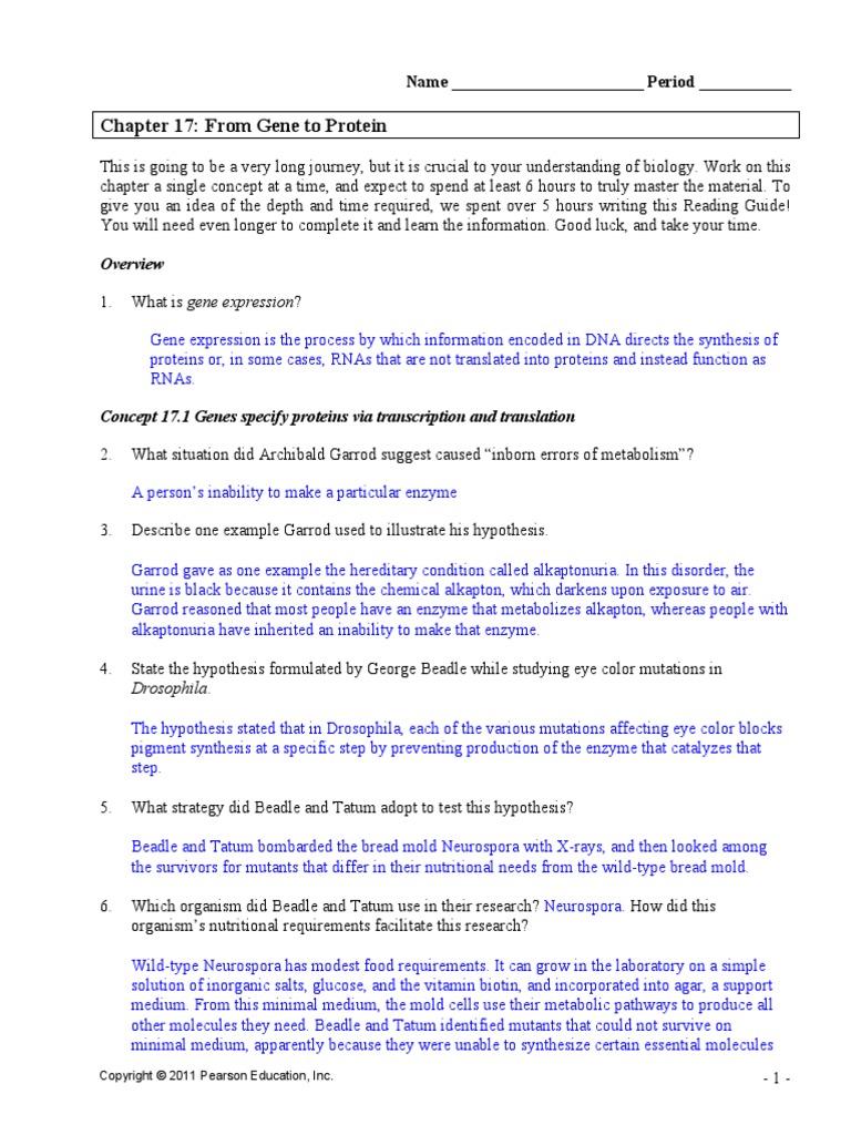 Ch17answers Pdf Pdf Rna Translation Biology