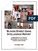 Bloods Street Gang Intelligence Report PDF