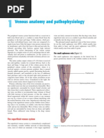 Vein Anatomy and Function