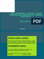 PROCEDIMIENTOJUDICLABORAL1°INST