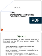 Tema 3 Org. Rural 2013 PDF