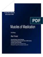 Muscles of Mastication Slides(1)