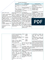 Cuadro Comparativo de Las Escuelas Antropologicas