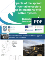 Impacts of The Spread of Non-Native Oysters and Interactions With Native Oysters