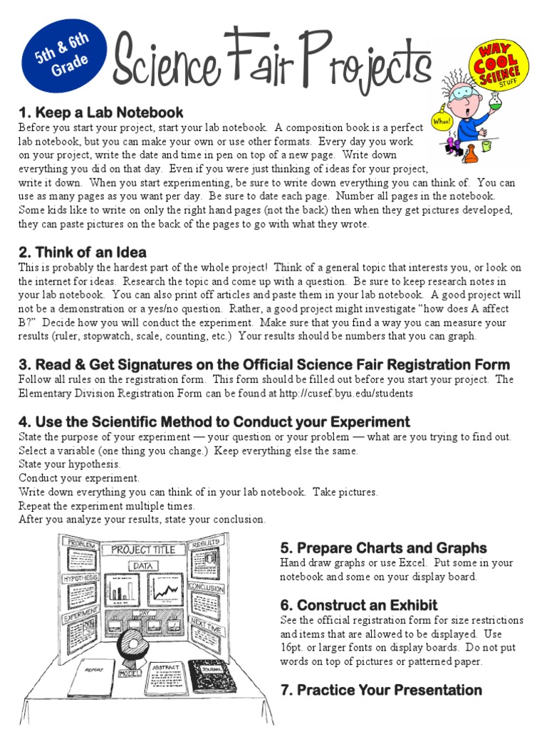 How To Do A Science Fair Project | PDF | Notebook | Experiment