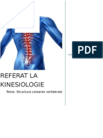 Structura coloanei vertebrale - referat