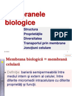 Membrane