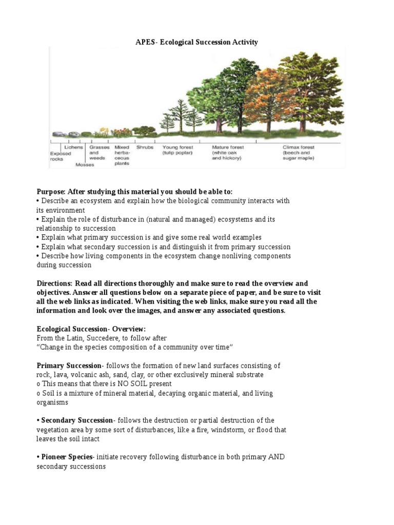 worksheet Primary And Secondary Succession Worksheet ecological succession activity ecosystem disturbance ecology