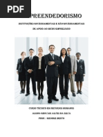 Empreendedorismo - Instituições Governamentais e Não Governamentais