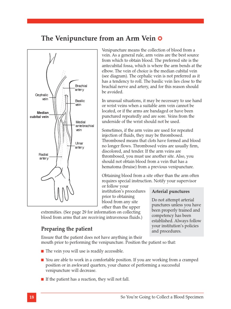 Venipuncture Sites in Arm Veins | PDF