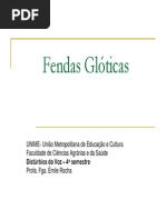 Fendas Gloticas