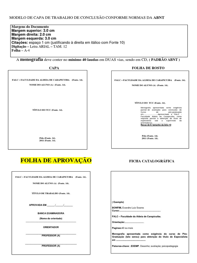 Princeton engineering essay image