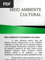 Meio Ambiente Cultural