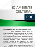 Meio Ambiente Cultural