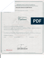 Formato 1 PDF