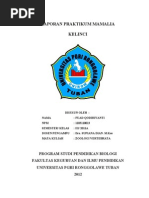 Download Laporan Praktikum Mamalia Kelinci by Riya Shingwa SN179296908 doc pdf